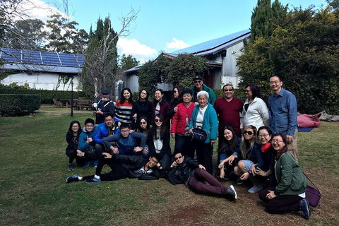Full Day Mount Tamborine Winery Tour From Brisbane - QLD Tourism 2