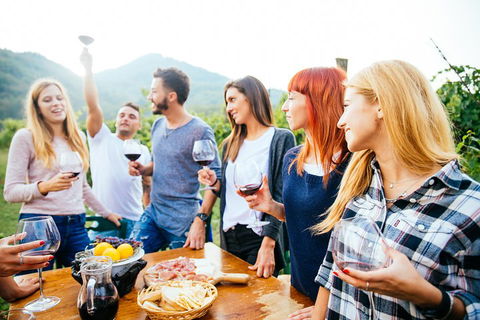 Full Day Mount Tamborine Winery Tour From Brisbane - QLD Tourism 5