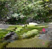 Daintree Dreaming Traditional Aboriginal Fishing from Cairns or Port Douglas - QLD Tourism