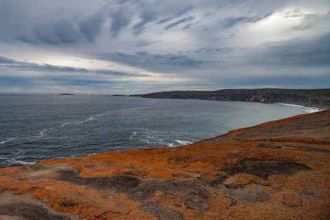 Kangaroo Island Luxury Small Group 'Flinders Chase Focus' Full Day Tour - QLD Tourism 0