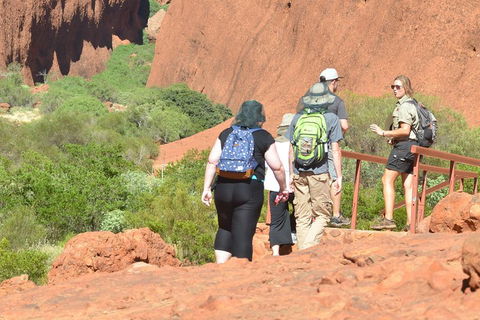 Afternoon Kata Tjuta Small Group Tour - QLD Tourism 0