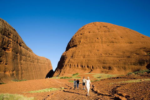 Afternoon Kata Tjuta Small Group Tour - QLD Tourism 1