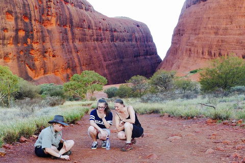 Afternoon Kata Tjuta Small Group Tour - QLD Tourism 2