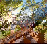 Uluru Small Group Tour including Sunset - QLD Tourism