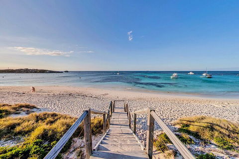 Discover Rottnest With Ferry & Bus Tour From Perth Or Fremantle - QLD Tourism 4