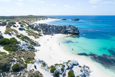 Discover Rottnest With Ferry & Bus Tour From Perth Or Fremantle - QLD Tourism 5