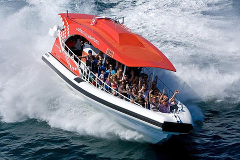 Adventure Rottnest Tour With Ferry & Adventure Cruise From Perth Or Fremantle - QLD Tourism 2