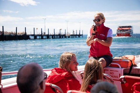 Adventure Rottnest Tour With Ferry & Adventure Cruise From Perth Or Fremantle - QLD Tourism 4