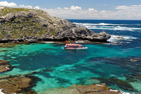 Adventure Rottnest Tour With Ferry & Adventure Cruise From Perth Or Fremantle - QLD Tourism 5