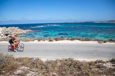 Experience Rottnest With Ferry & Bike Hire From Perth Or Fremantle - QLD Tourism 2