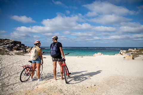 Experience Rottnest With Ferry & Bike Hire From Perth Or Fremantle - QLD Tourism 5