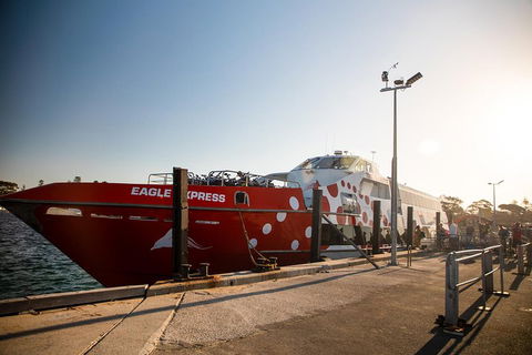 Rottnest Island Round-Trip Ferry From Perth Or Fremantle - QLD Tourism 2