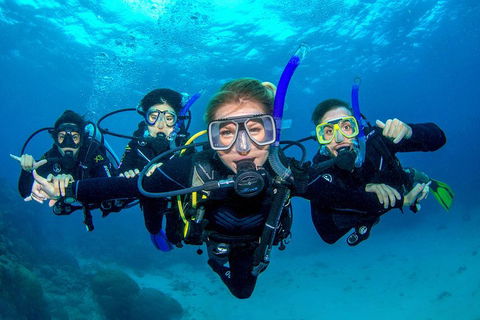 Great Barrier Reef Diving And Snorkeling Cruise From Cairns - QLD Tourism 0