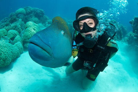 Great Barrier Reef Diving And Snorkeling Cruise From Cairns - QLD Tourism 2