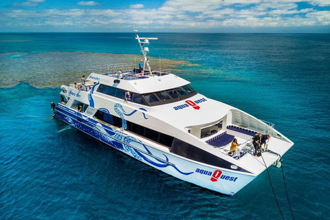 Great Barrier Reef Diving And Snorkeling Cruise From Cairns - QLD Tourism 5