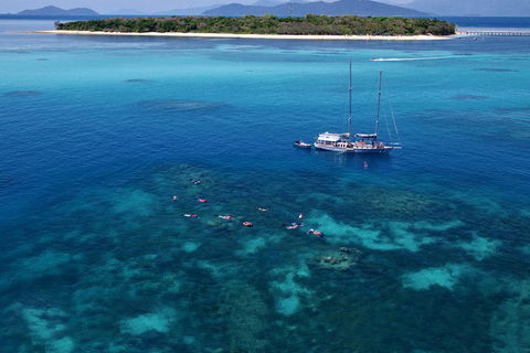 Ocean Free Green Island & Great Barrier Reef Snorkel Cruise, Cairns 25 Guests - QLD Tourism 2