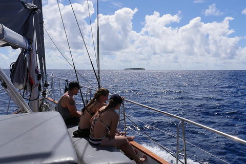 Ocean Free Green Island & Great Barrier Reef Snorkel Cruise, Cairns 25 Guests - QLD Tourism 4