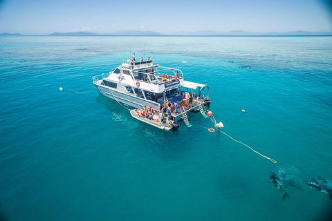Ocean Freedom Great Barrier Reef Personal Luxury Snorkel & Dive Cruise, Cairns - QLD Tourism 0