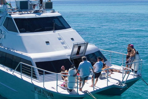 Ocean Freedom Great Barrier Reef Personal Luxury Snorkel & Dive Cruise, Cairns - QLD Tourism 1
