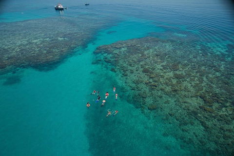 Ocean Freedom Great Barrier Reef Personal Luxury Snorkel & Dive Cruise, Cairns - QLD Tourism 3