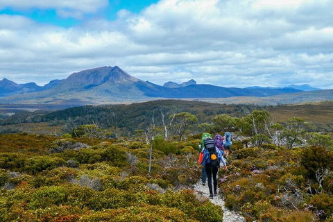 6 Day Trek The Cradle Mountain Overland Track - QLD Tourism 5