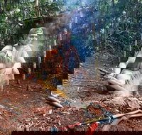 Kuranda Highlights including Rainforestation Aboriginal Culture and Wildlife - QLD Tourism