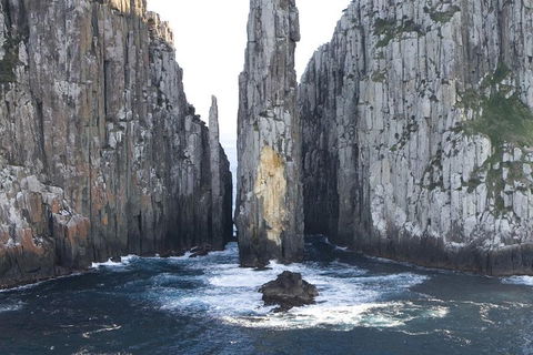 Tasman Island Cruises And Port Arthur Historic Site Day Tour From Hobart - QLD Tourism 2