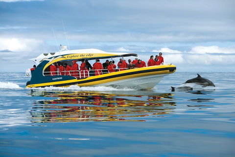 Tasman Island Cruises And Port Arthur Historic Site Day Tour From Hobart - QLD Tourism 3