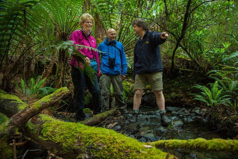 Bruny Island Traveller - Gourmet Tasting And Sightseeing Day Trip From Hobart - QLD Tourism 1