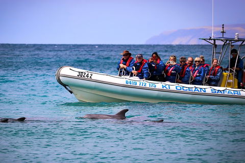 Kangaroo Island 75-Minute Ocean Safari - QLD Tourism 4