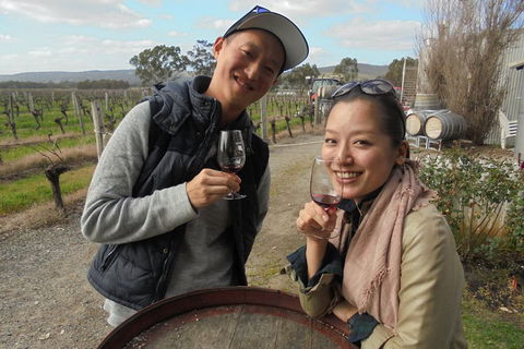 Swan Valley River Cruise And Wine Tasting Day Trip From Perth - QLD Tourism 0