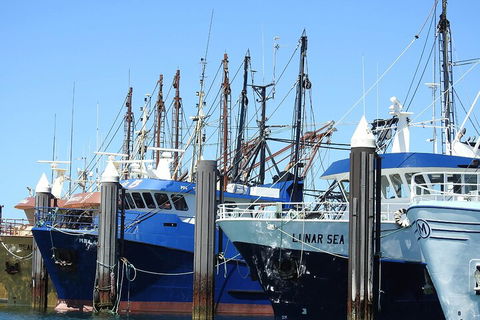 One Day Port Lincoln Tour - Tasting Eyre - QLD Tourism 0