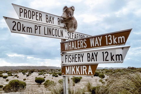 One Day Port Lincoln Tour - Tasting Eyre - QLD Tourism 2