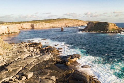 One Day Port Lincoln Tour - Tasting Eyre - QLD Tourism 3