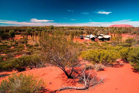 Overnight Uluru (Ayers Rock) Small-Group Camping Tour - QLD Tourism 2