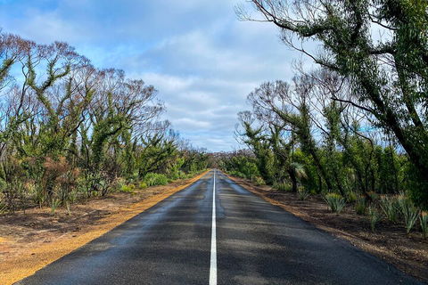 2 Day Ultimate Kangaroo Island With Return Ferry - QLD Tourism 4