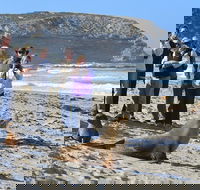 Full day Seal Bay Experience departing from Kangaroo Island - QLD Tourism