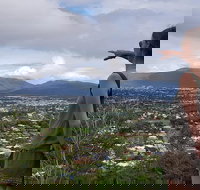 Cairns Aquarium and small group City Sightseeing Tour - QLD Tourism