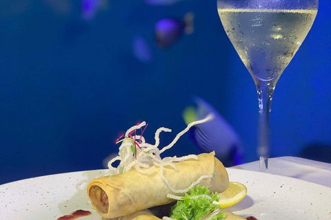 Cairns Aquarium And Small Group City Sightseeing Tour - Queensland Tourism 5