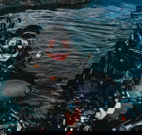 Cairns Aquarium Dive with the Sharks - QLD Tourism