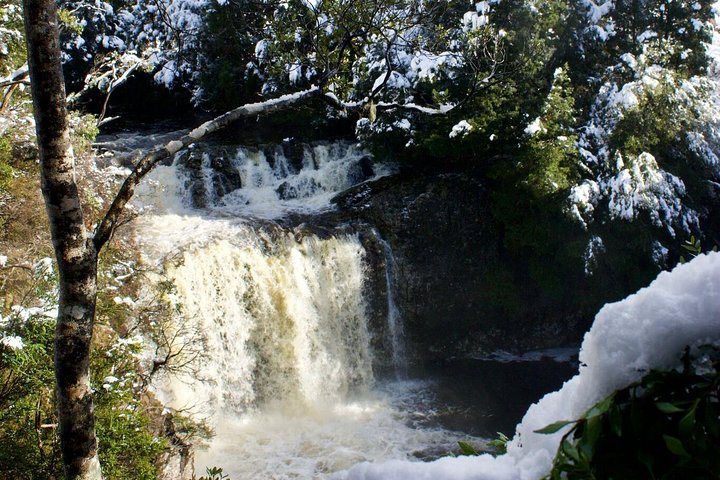 Cradle Mountain Day Tour From Launceston Including Lunch - thumb 0