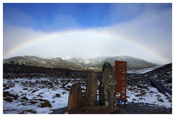 Cradle Mountain Day Tour From Launceston Including Lunch - thumb 4