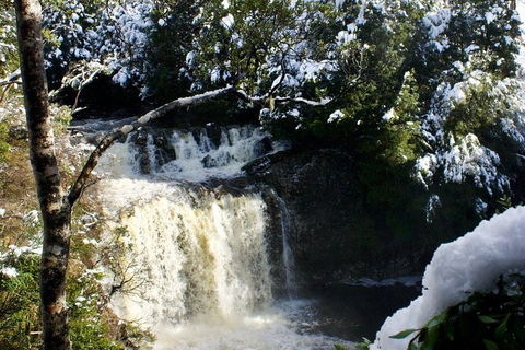 Cradle Mountain Park Explorer Guided Tour - QLD Tourism 4