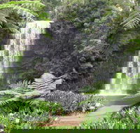 Private Daintree and Cape Tribulation Tour from Port Douglas - QLD Tourism