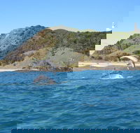 Kayaking with Dolphins in Byron Bay Guided Tour - QLD Tourism
