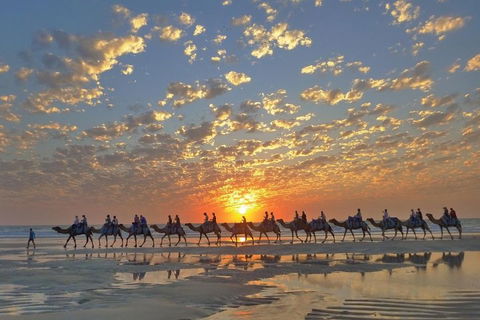 Broome City Sightseeing Tour With Optional Camel Ride - Queensland Tourism 1