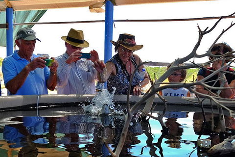 Cape Leveque 4WD Tour From Broome With Optional Return Flight - QLD Tourism 0