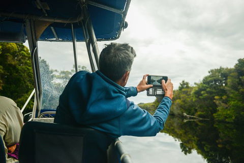 Southwest Tasmania Wilderness Experience: Fly Cruise And Walk Including Lunch - QLD Tourism 4