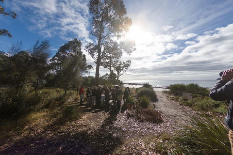 Bruny Island Day Tour, Includes Lunch And Exclusive Lighthouse Tour - QLD Tourism 5