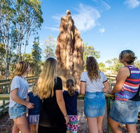 Litchfield National Park Waterfalls and Wildlife Tour from Darwin - QLD Tourism